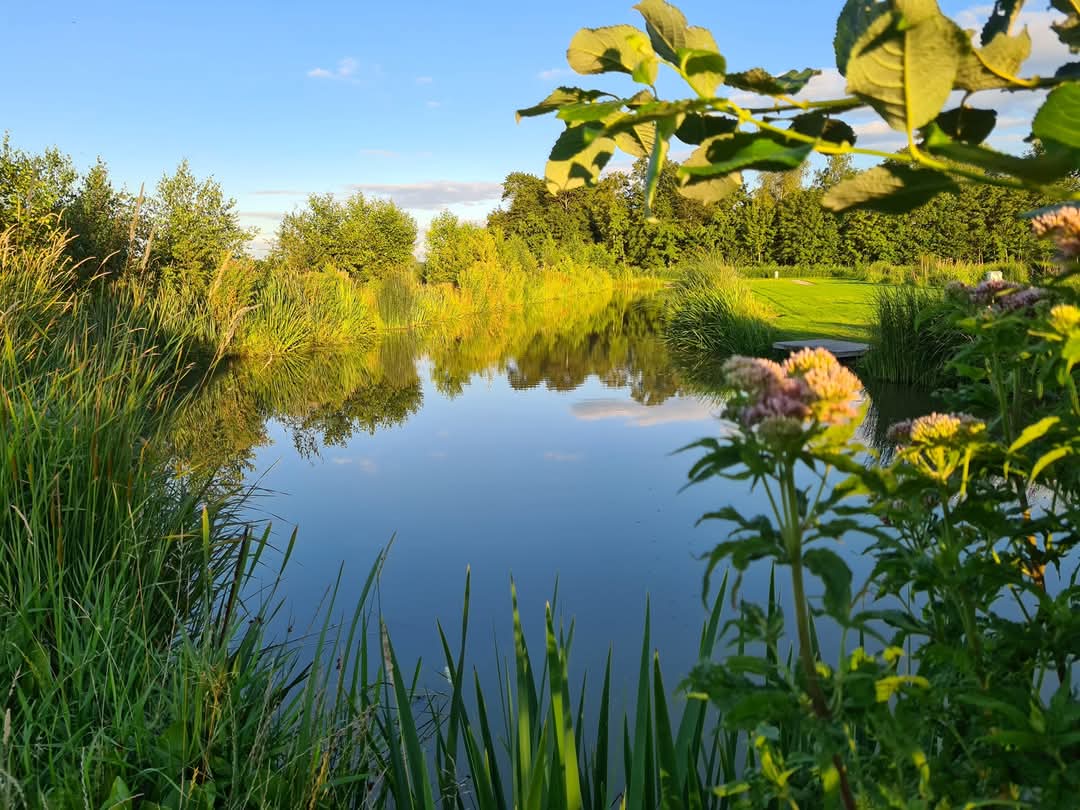 visvijvers de berenkuil putten bij nijkerk