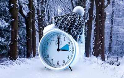 Winteropeningstijden (november t/m februari)