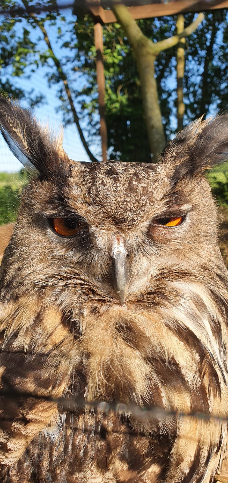 WhatsApp Image 2025-12-08 at 23.24.14