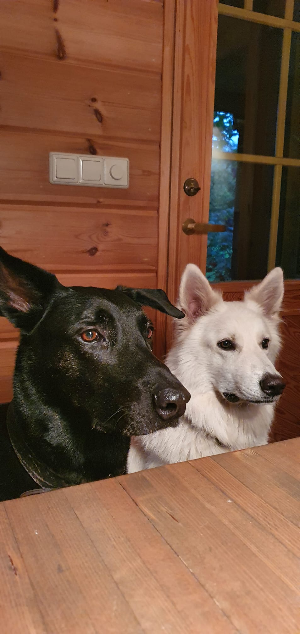 WhatsApp Image 2025-12-08 at 23.24.53