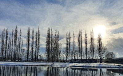 Impressie 3 januari 2026