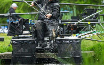 🟦🟨 UPDATE 🟨🟦